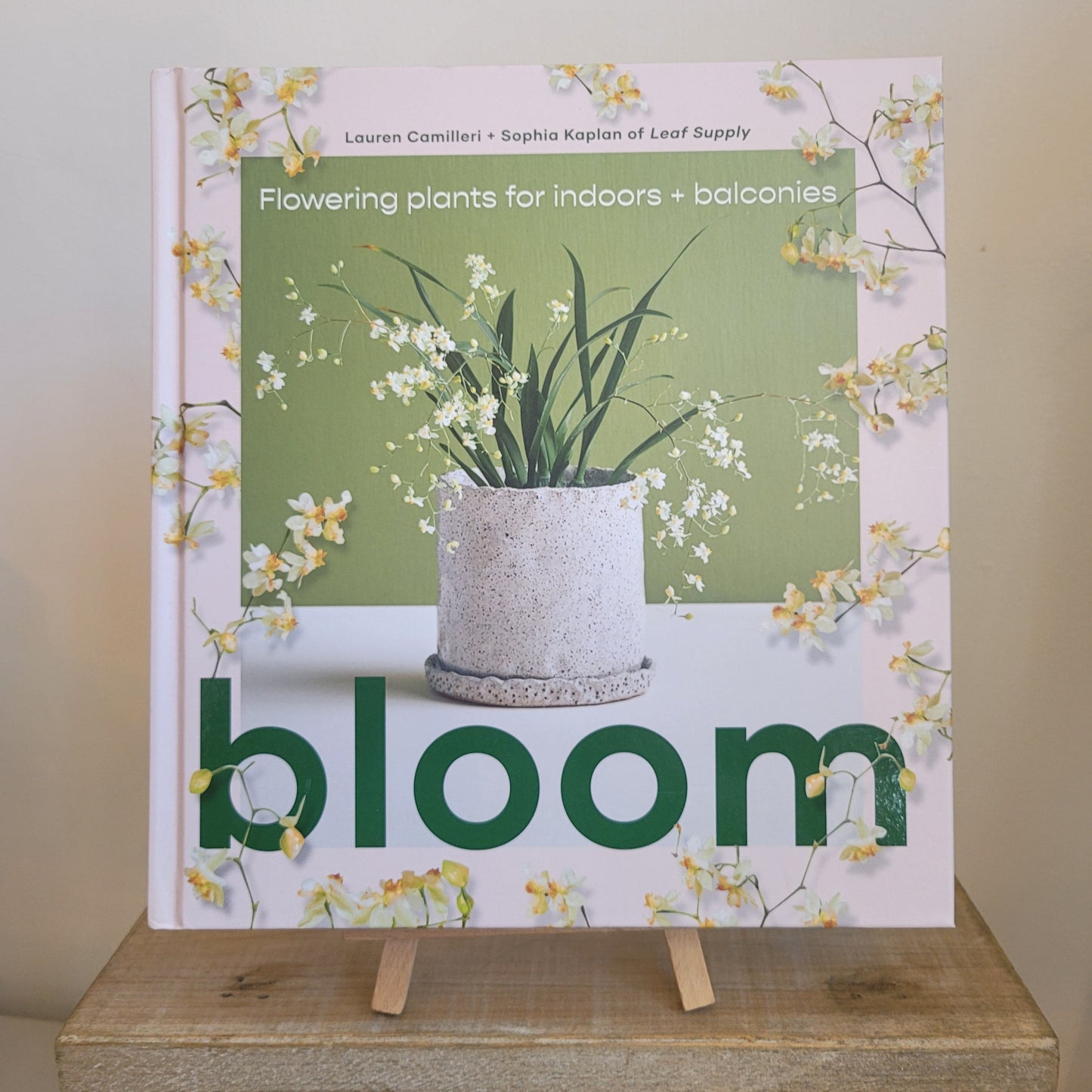 Bloom