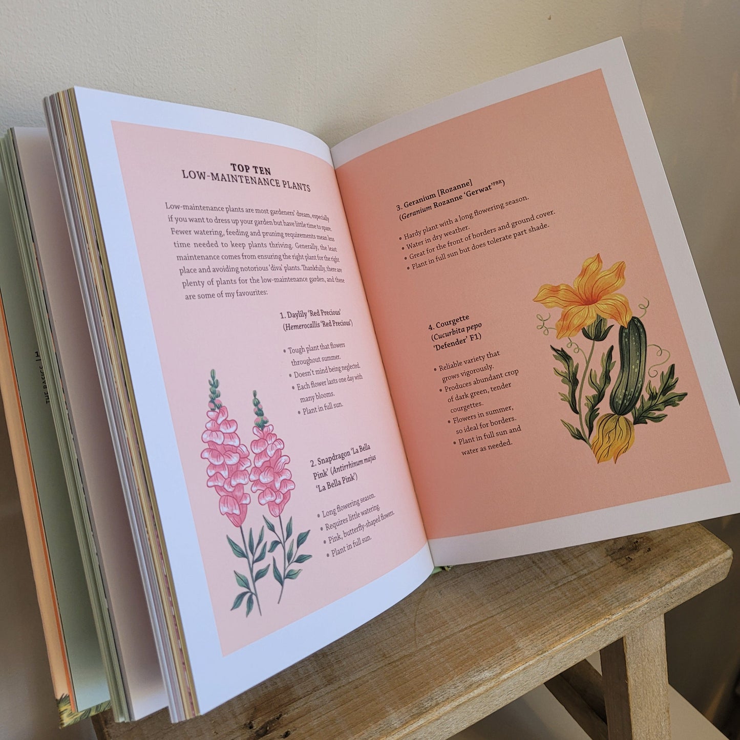 How to grow a garden