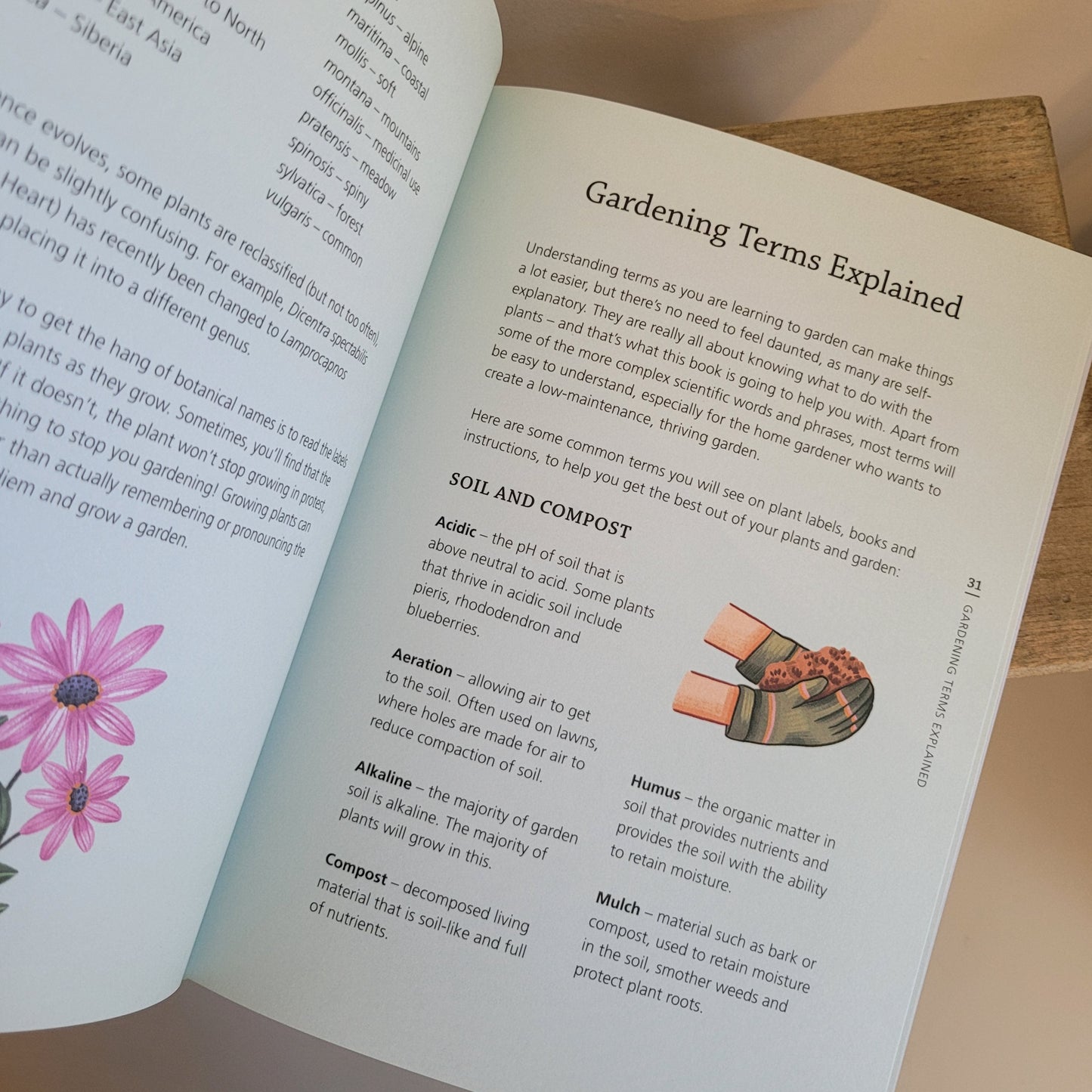 How to grow a garden