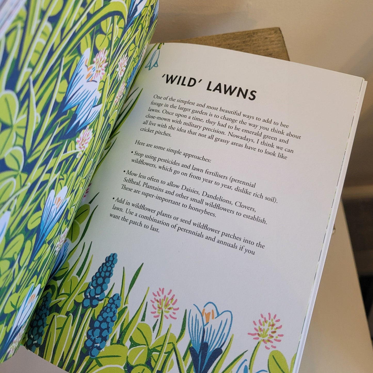 Planting for Honeybees