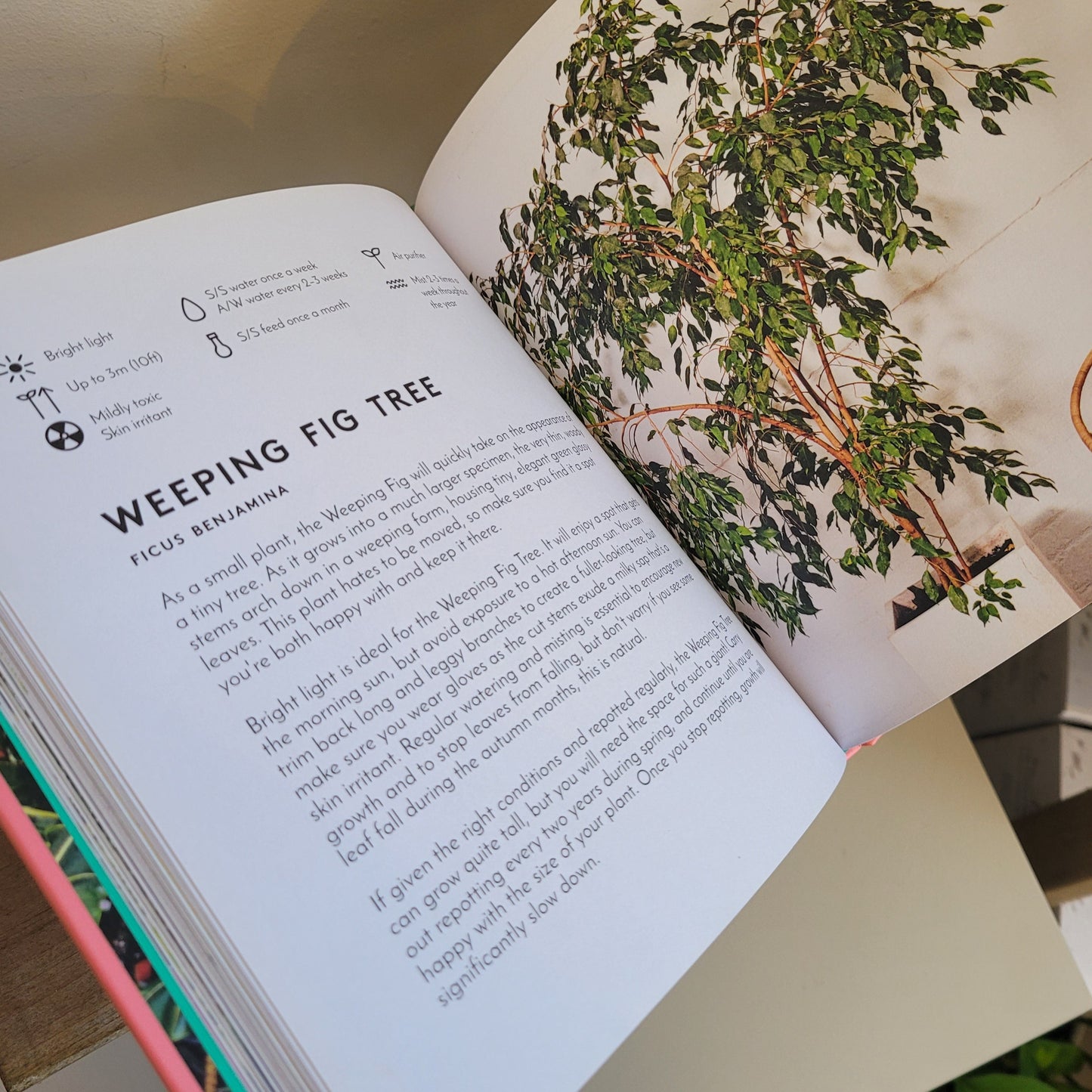 Little book, big plants