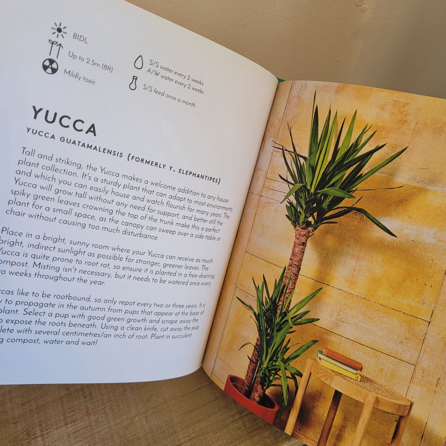 Little book, big plants