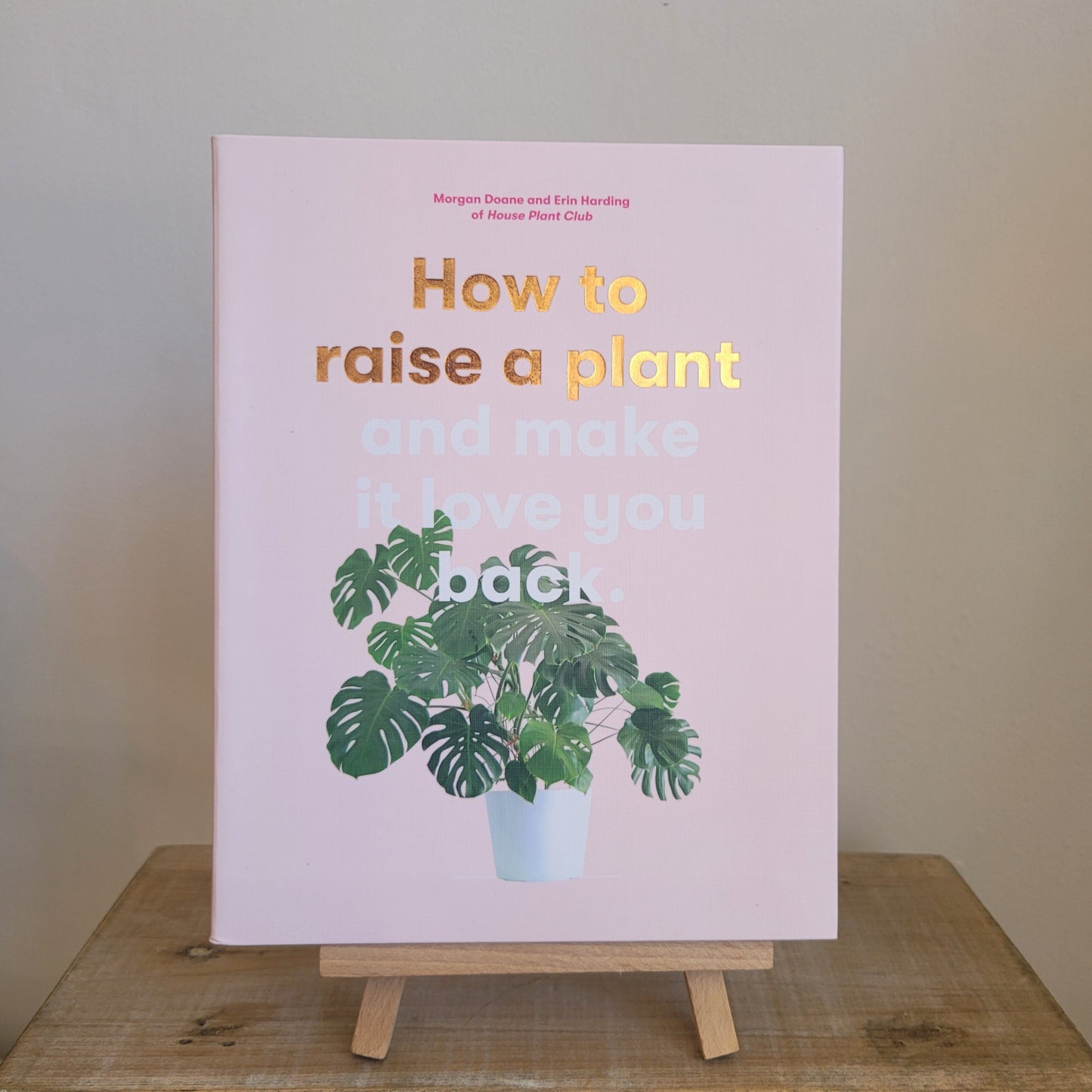How to raise a plant and make it love you back