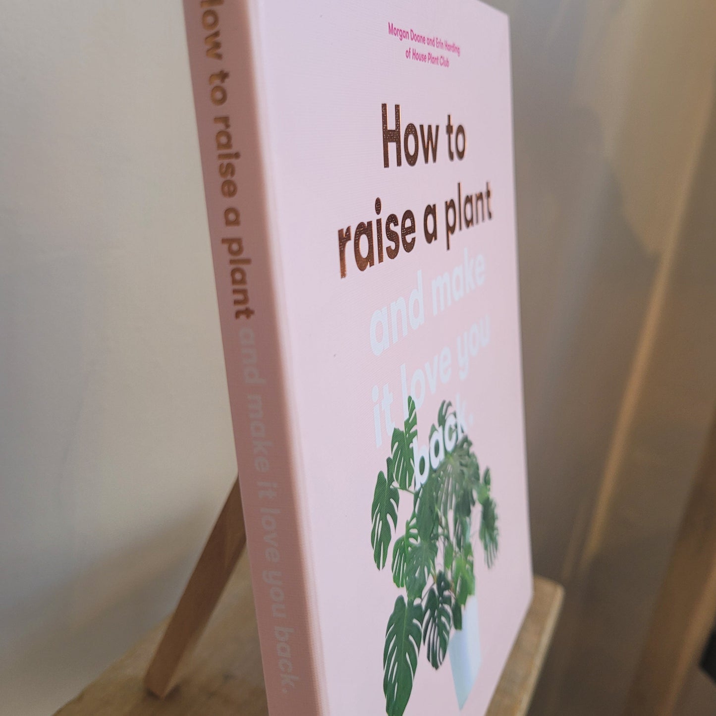 How to raise a plant and make it love you back