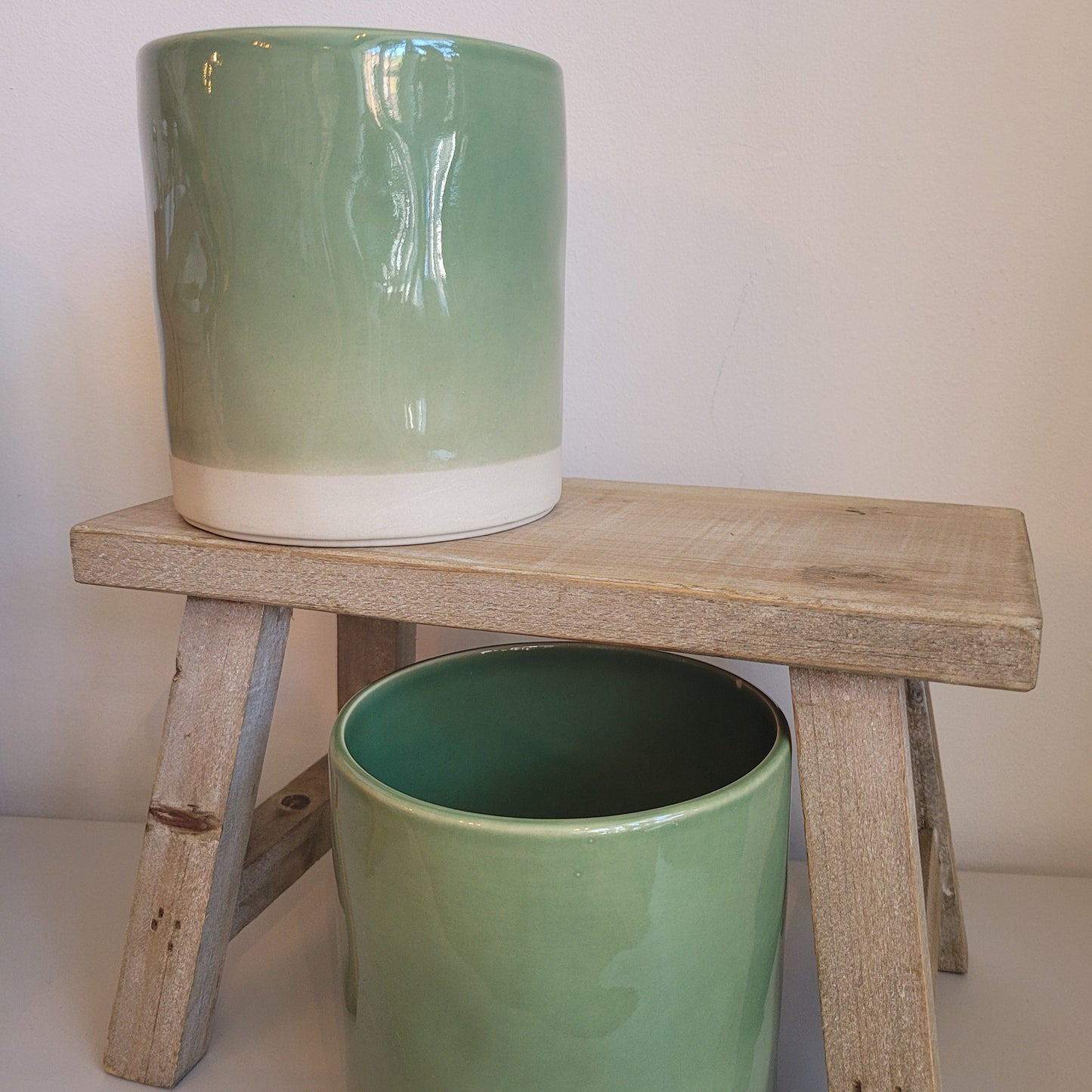 Kasvi Parrot Plant Pot
