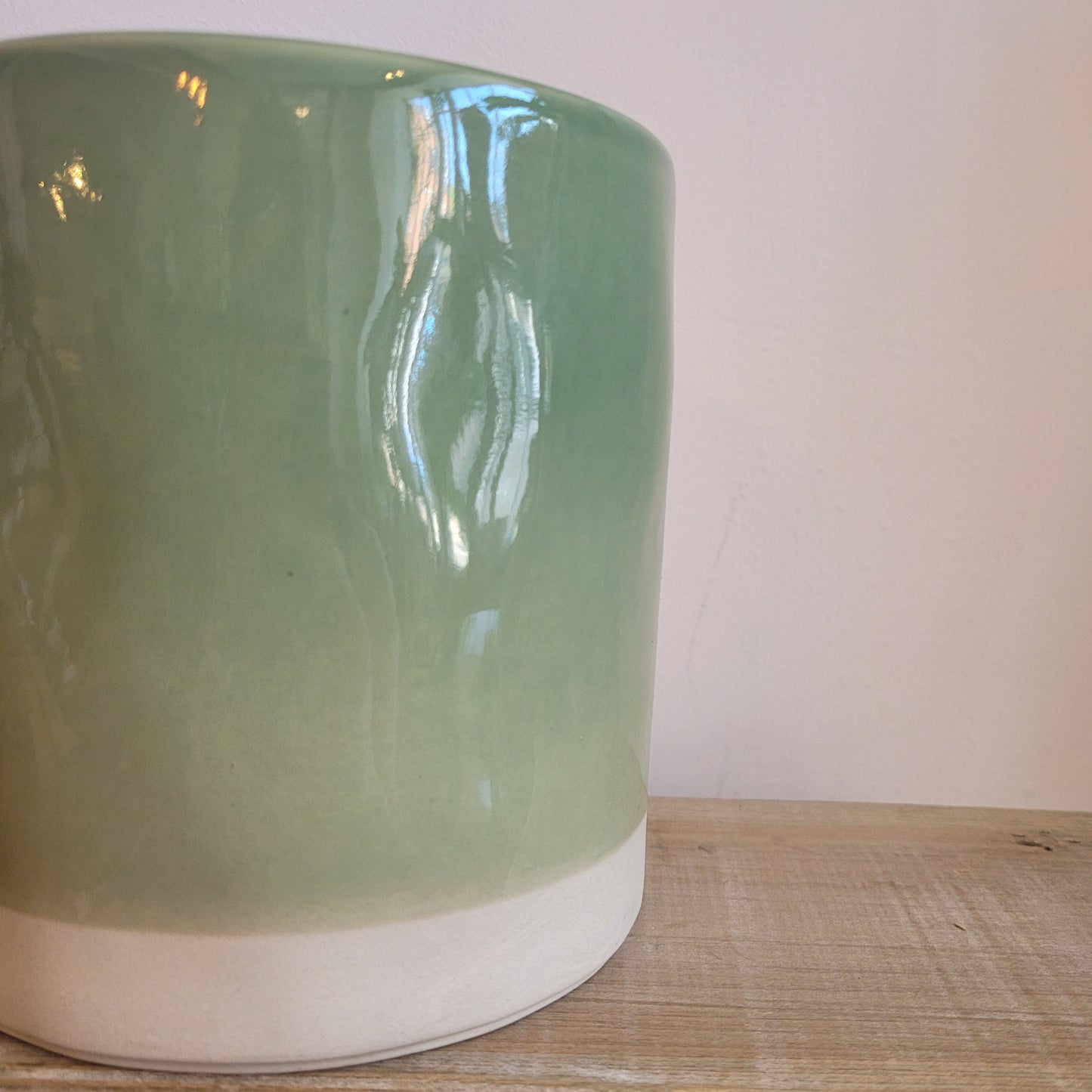 Kasvi Parrot Plant Pot