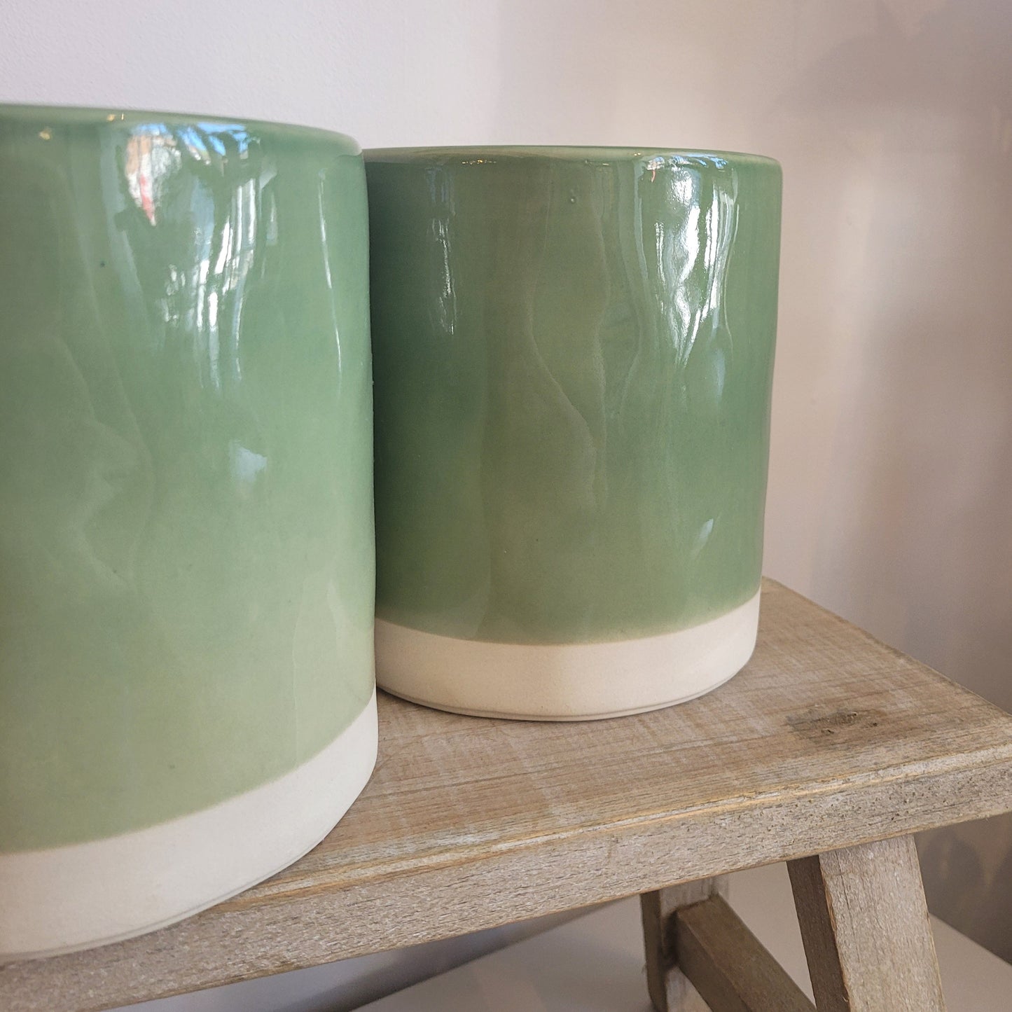 Kasvi Parrot Plant Pot