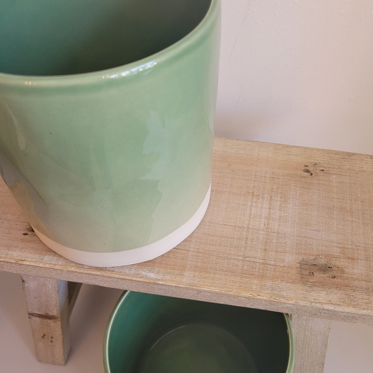 Kasvi Parrot Plant Pot