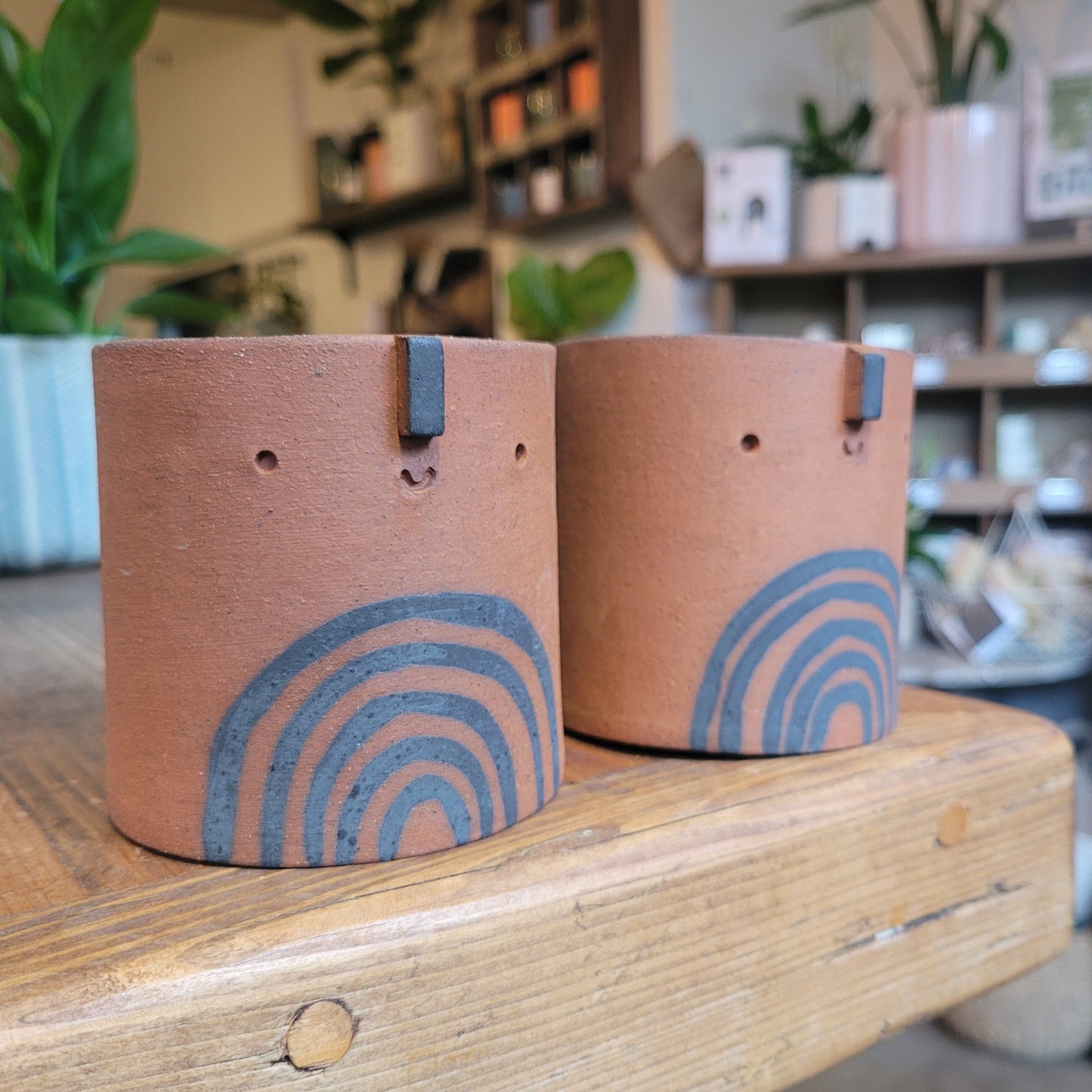 Atelier Stella Succulent Pot