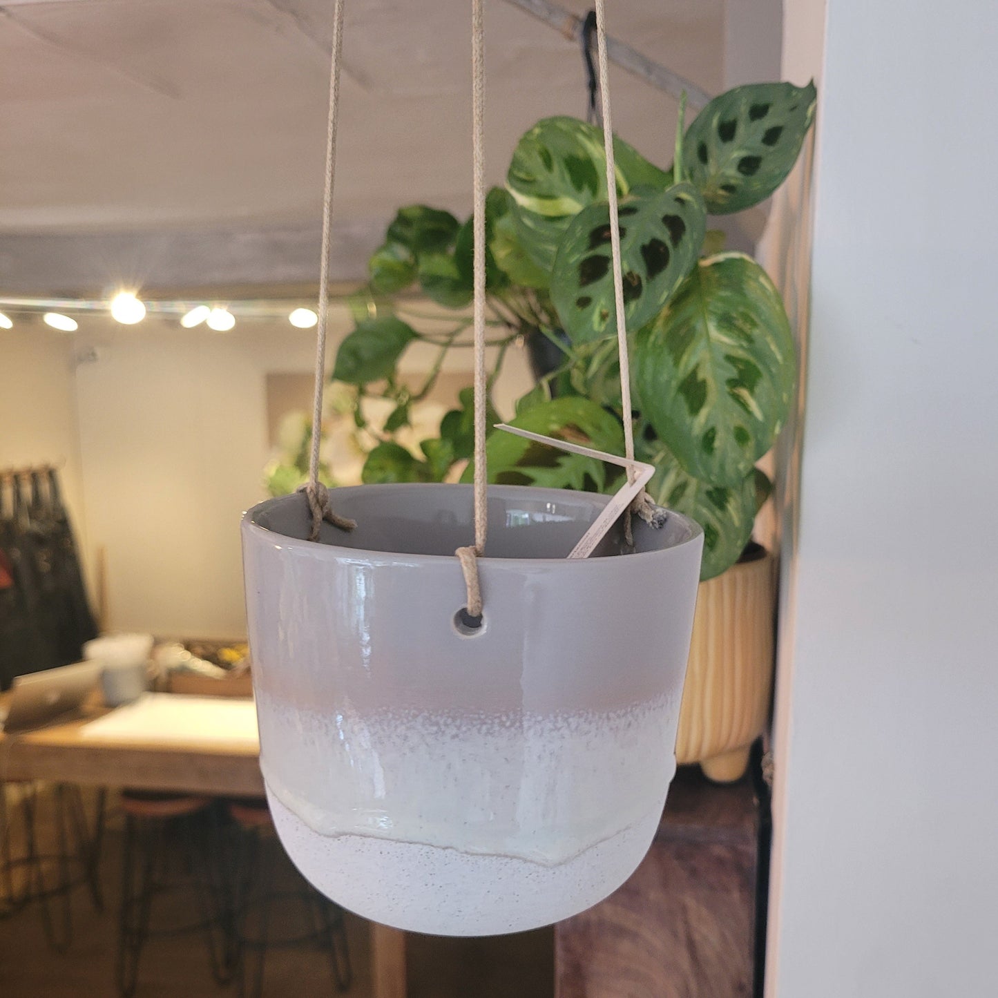 Mojave Hanging Planter