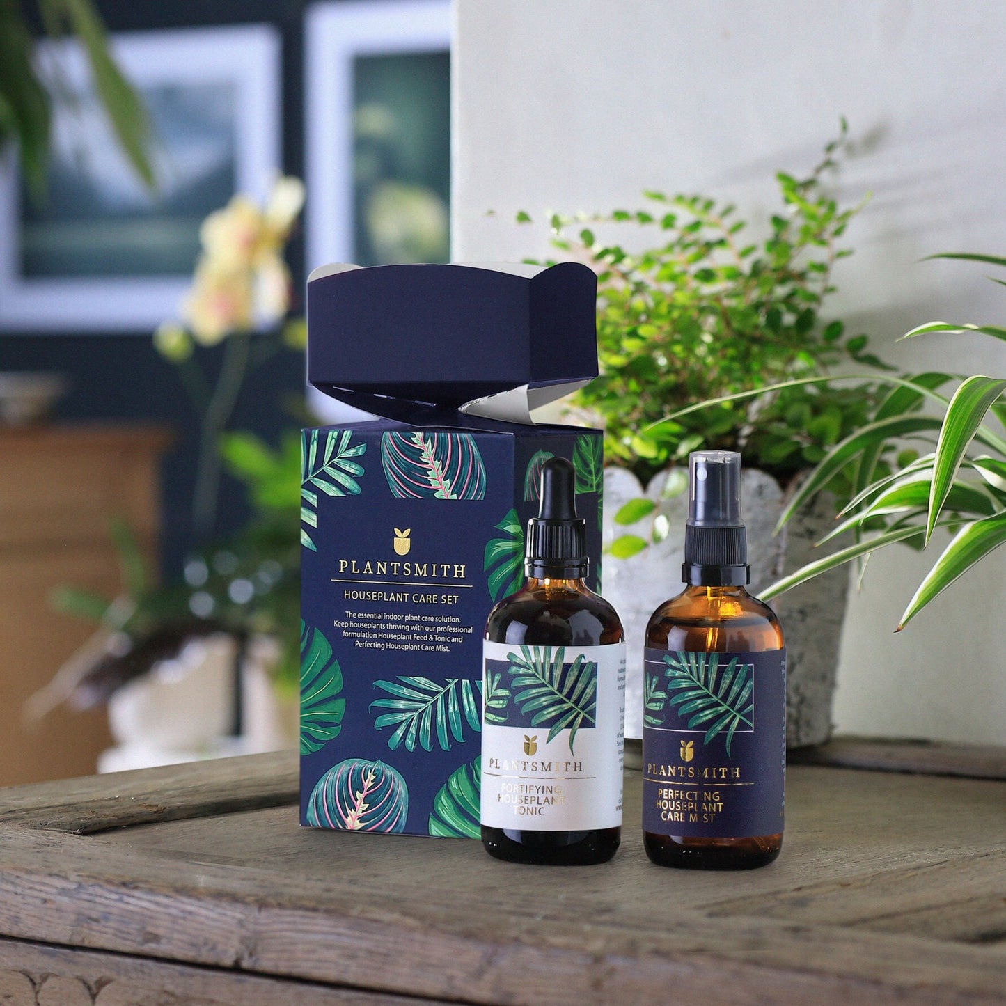 Houseplant Care Gift Cracker