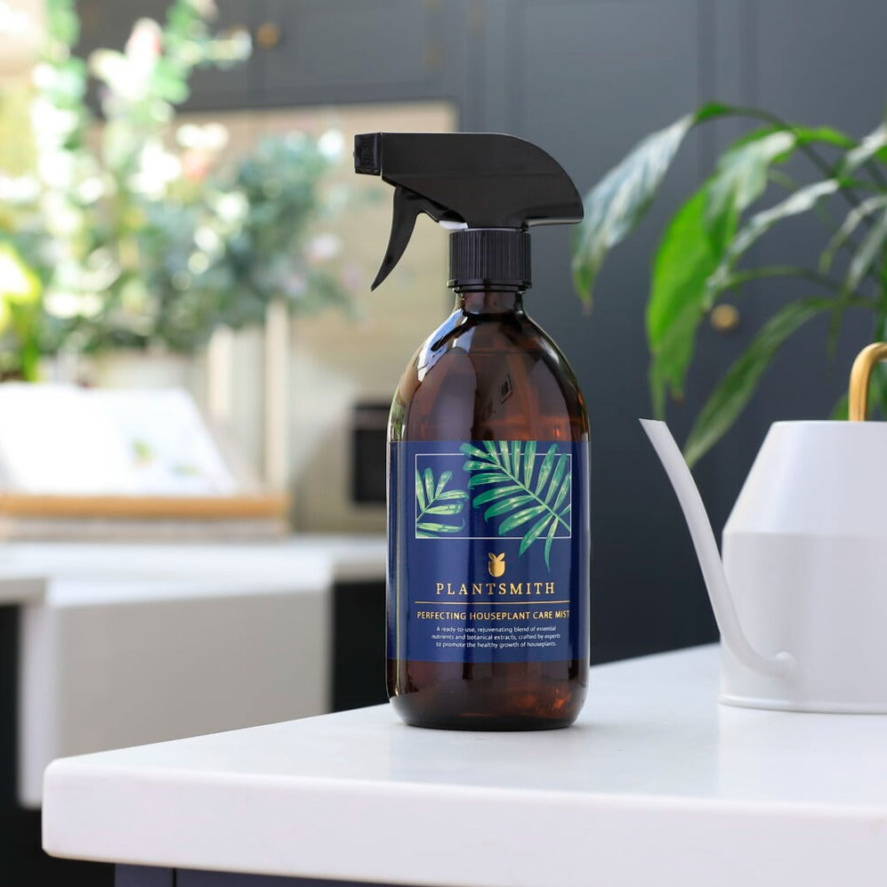Perfecting Houseplant Care Mist