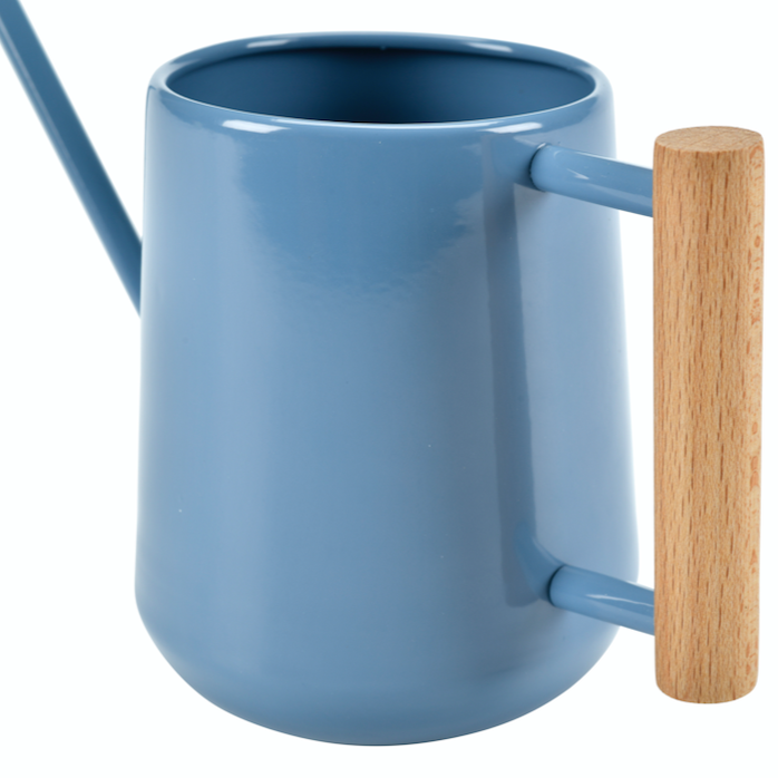 Watering Can- Blue