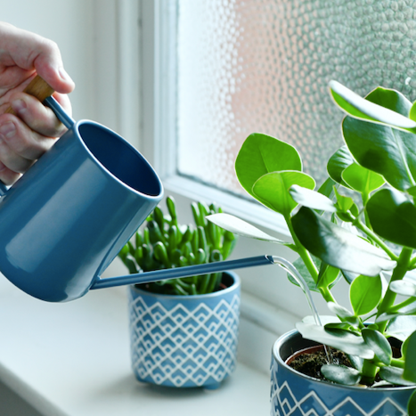 Watering Can- Blue