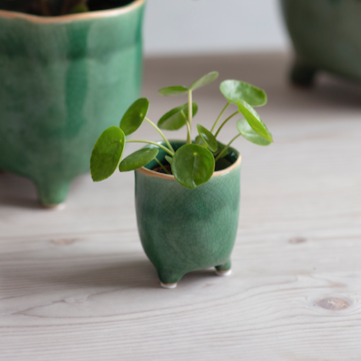 Positano Pot- Forest Green
