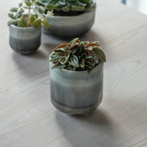 Frith Pot