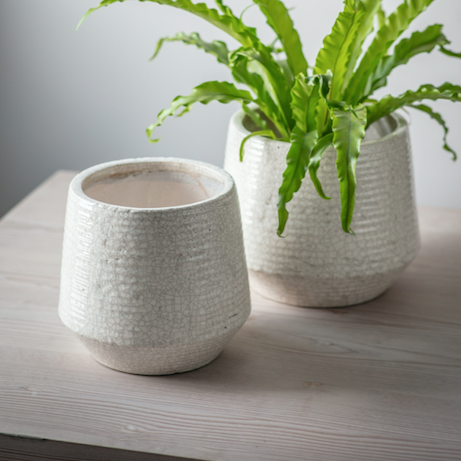 Ravello ridged pot