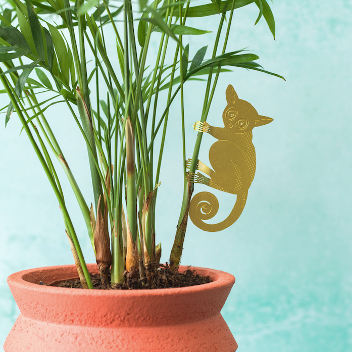 Plant Animal- Bush Baby