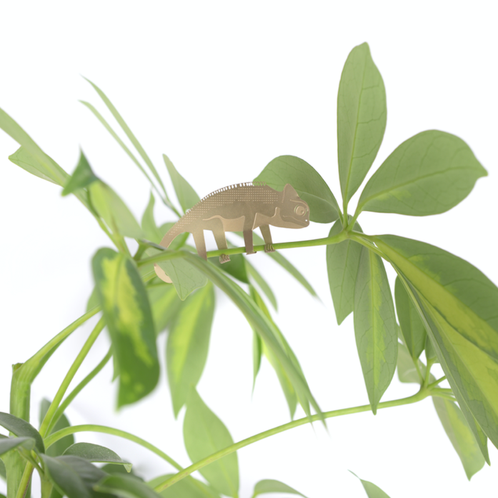 Plant Animal- Chameleon
