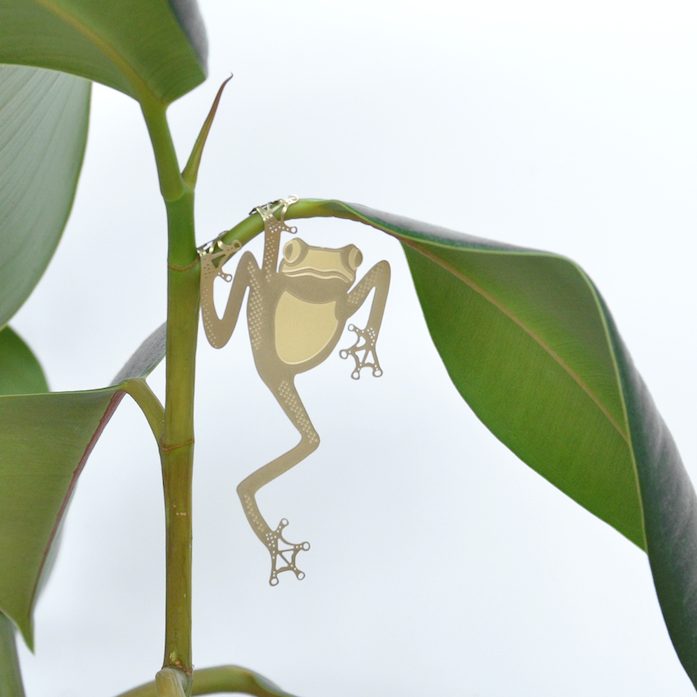 Plant Animal- Tree Frog