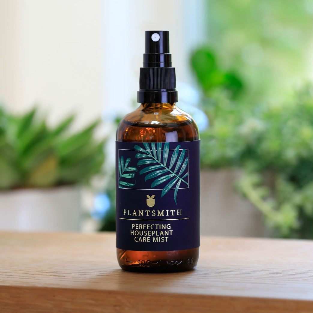 Perfecting Houseplant Care Mist