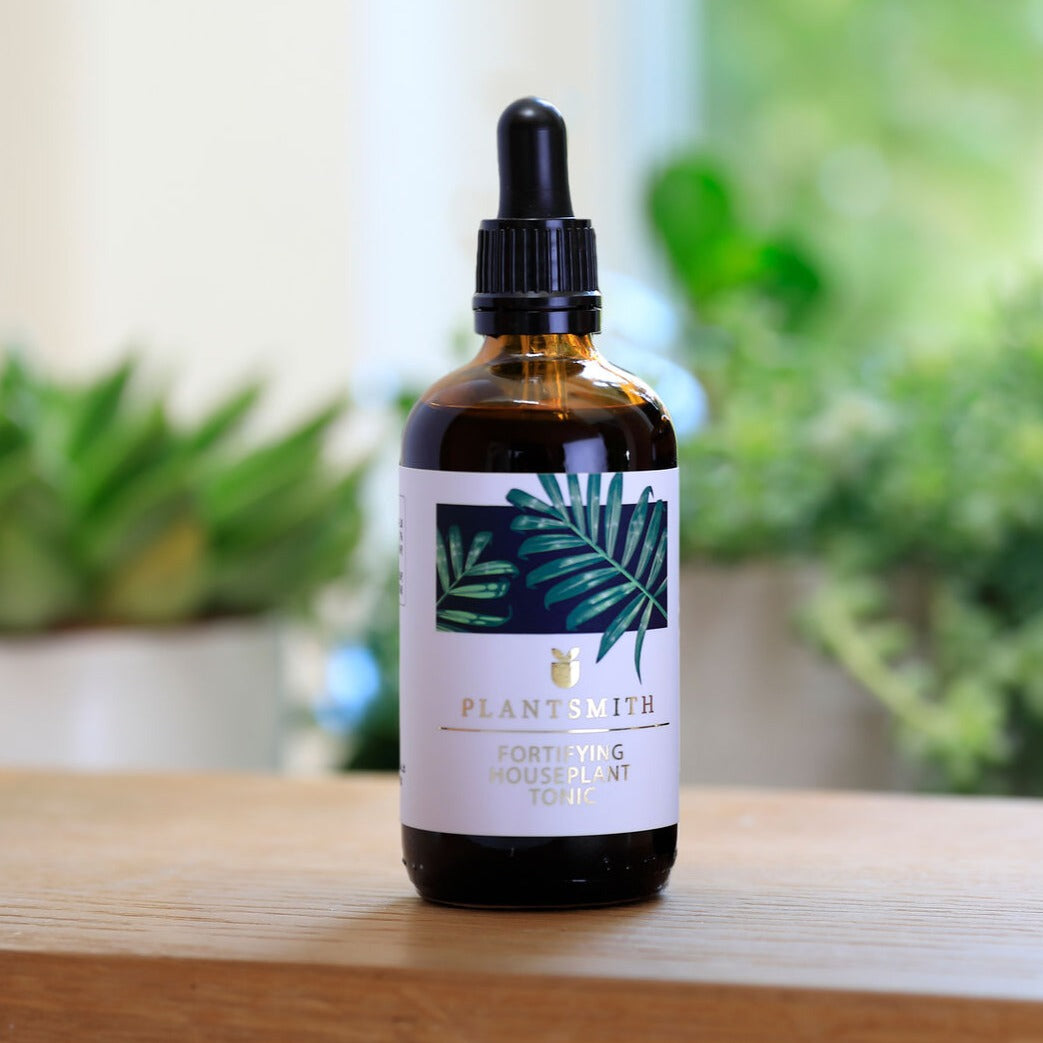 Fortifying Houseplant Feed & Tonic