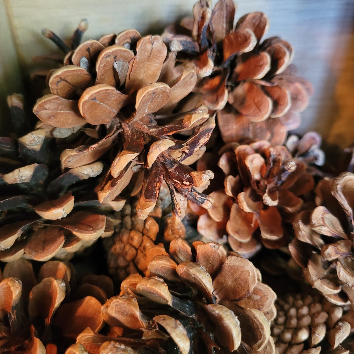 Additional Wreath Decorations- Natural & Dried Fruits