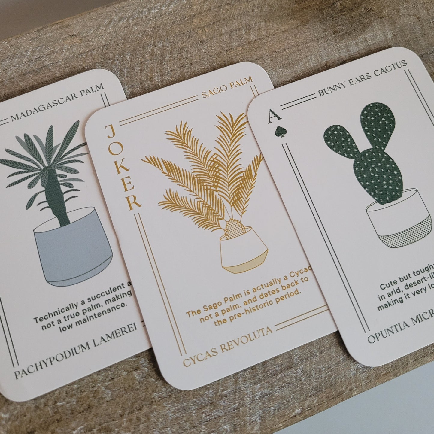 The Urban Gardener Playing Cards