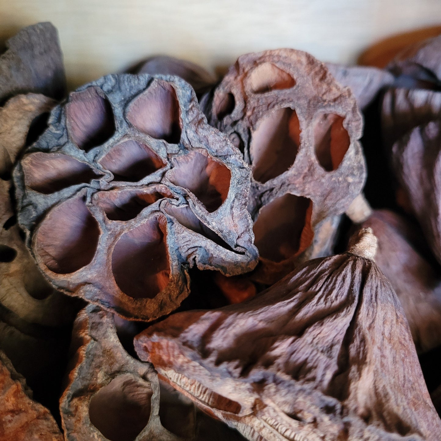 Additional Wreath Decorations- Natural & Dried Fruits