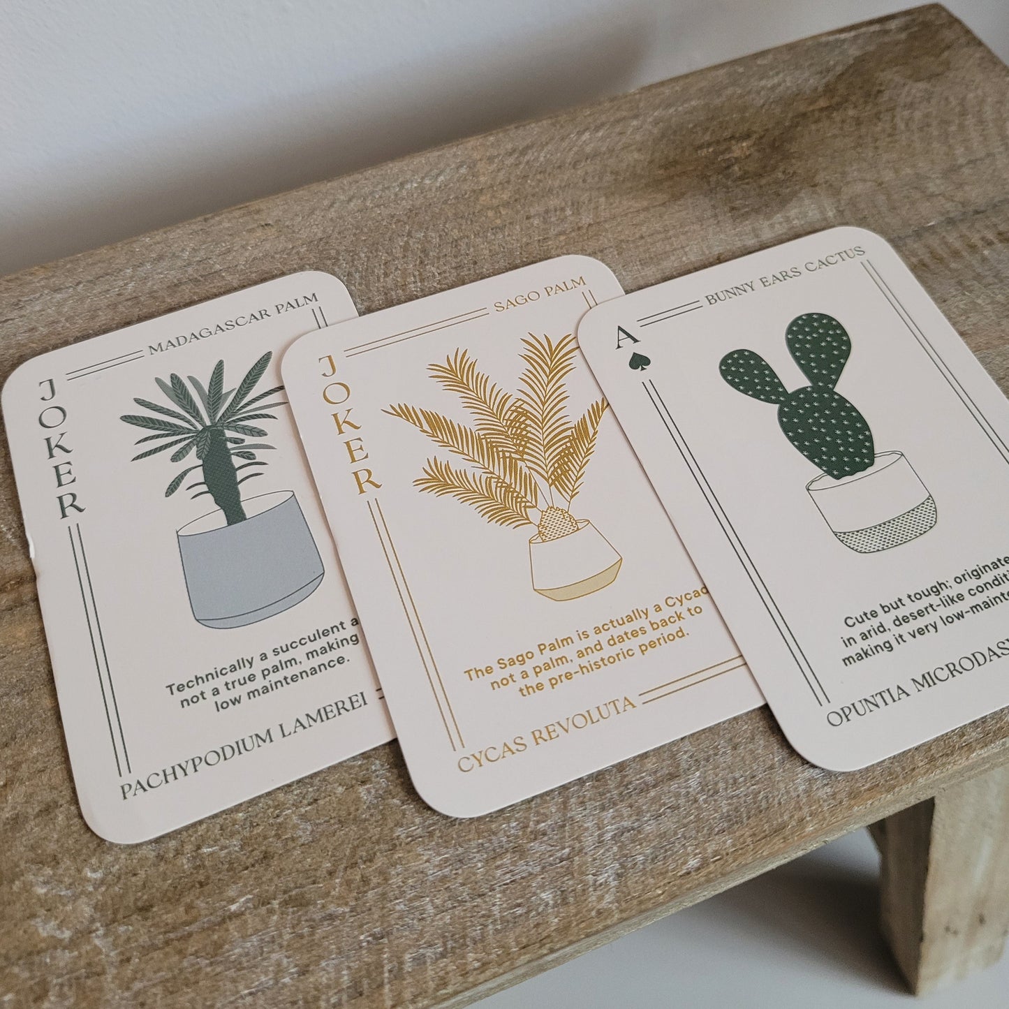The Urban Gardener Playing Cards