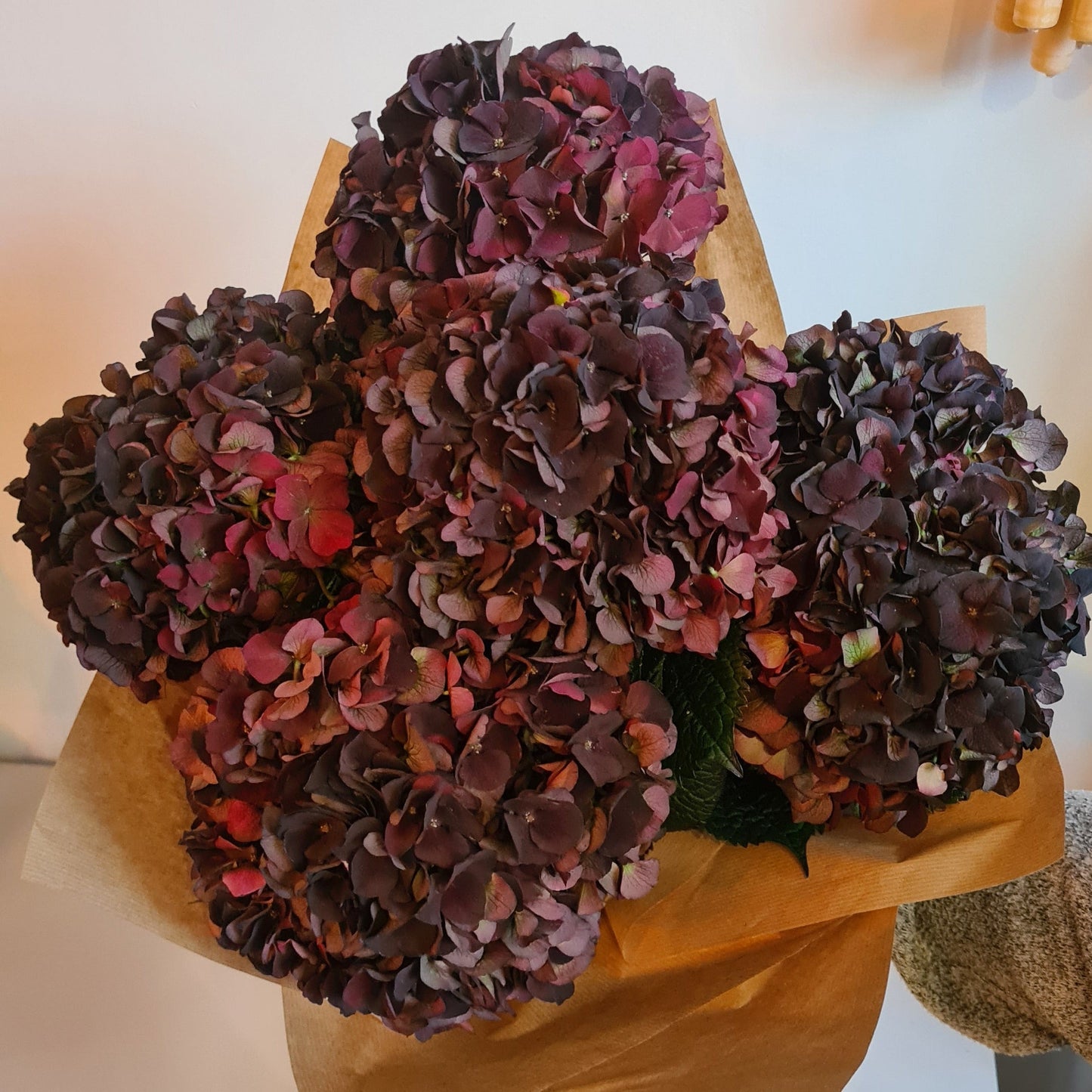 Hydrangea Bunch- Collection Only