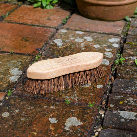 RHS Hand Scrub Brush