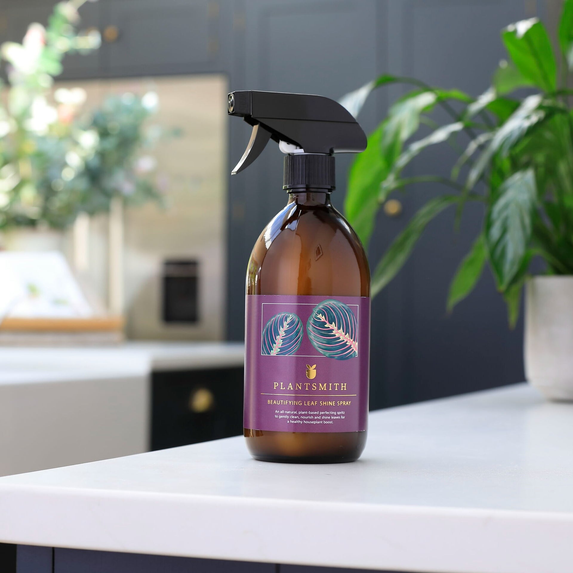 house plant leaf shine Beautifying Leaf Shine Spray – Emi Floral Designs