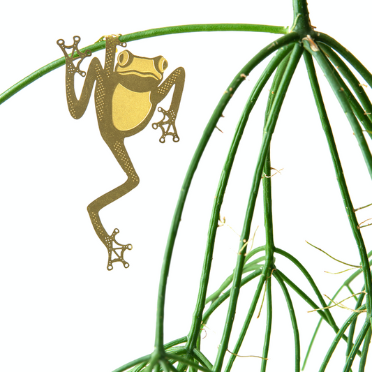 Plant Animal- Tree Frog