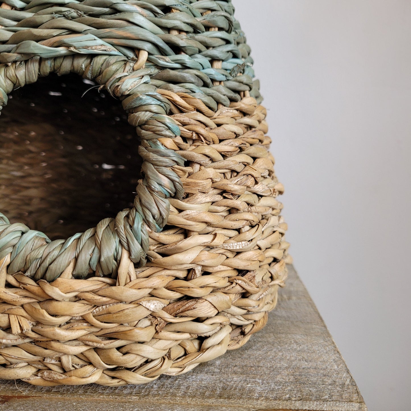 Seagrass Bird House