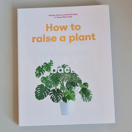 How to raise a plant and make it love you back