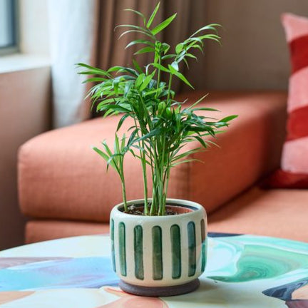 Green Stripe Plant Pot